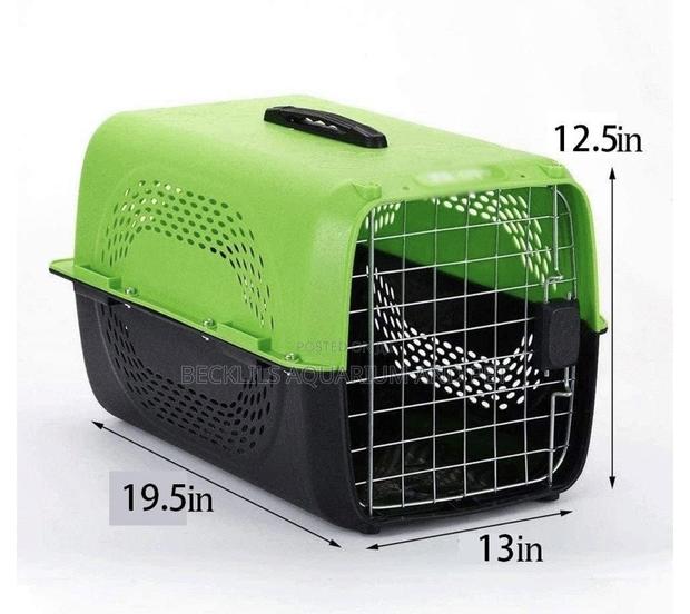 P2 Plastic Green Cage · Photo 3