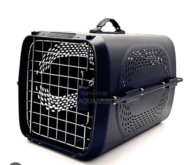 P3 Plastic Black Flight Cage · Photo 4