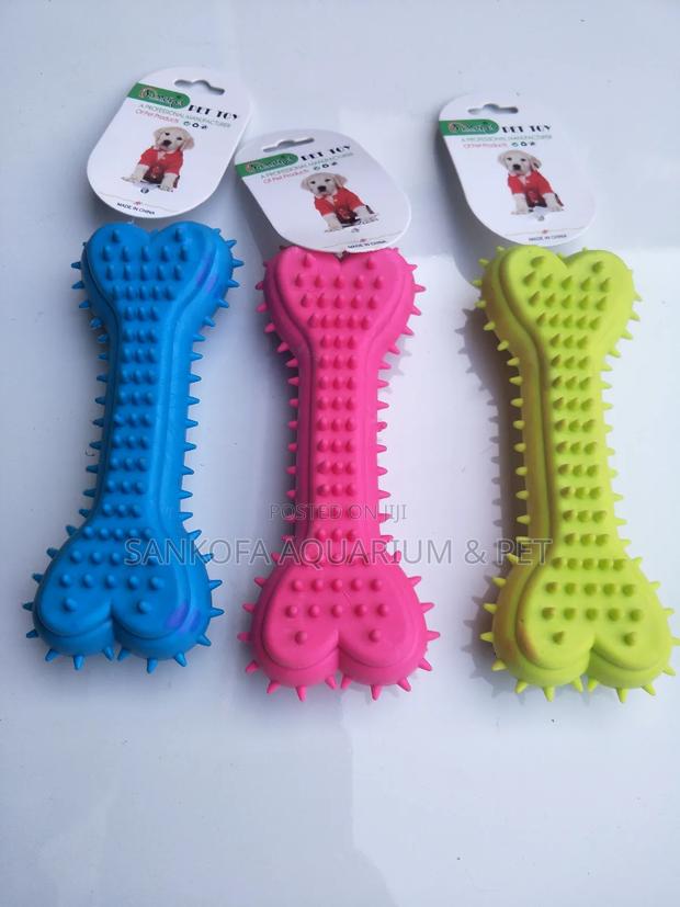 Dog Bone Play Toy · Photo 2