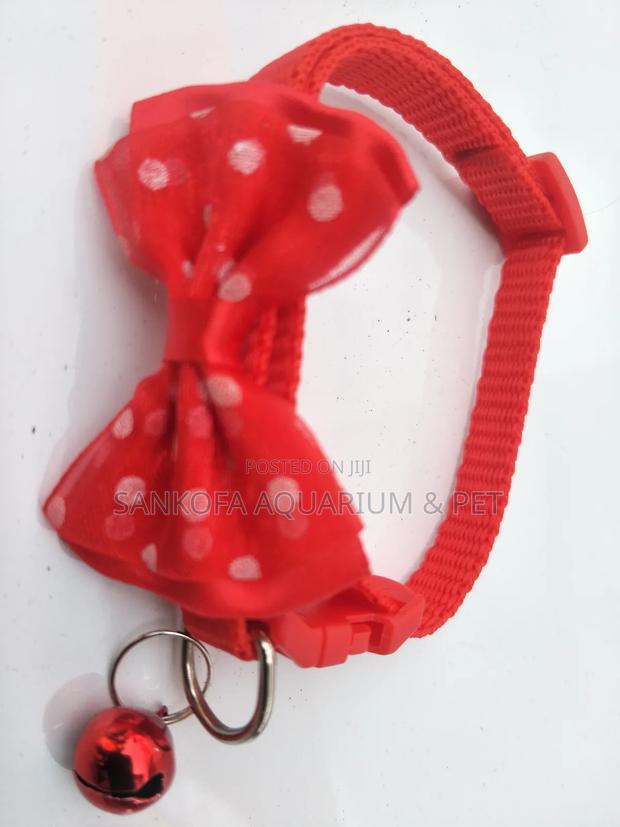 Quality Dog Collar · Photo 4