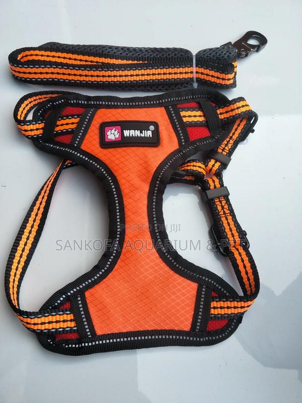 Dog Quality Harness · Photo 2