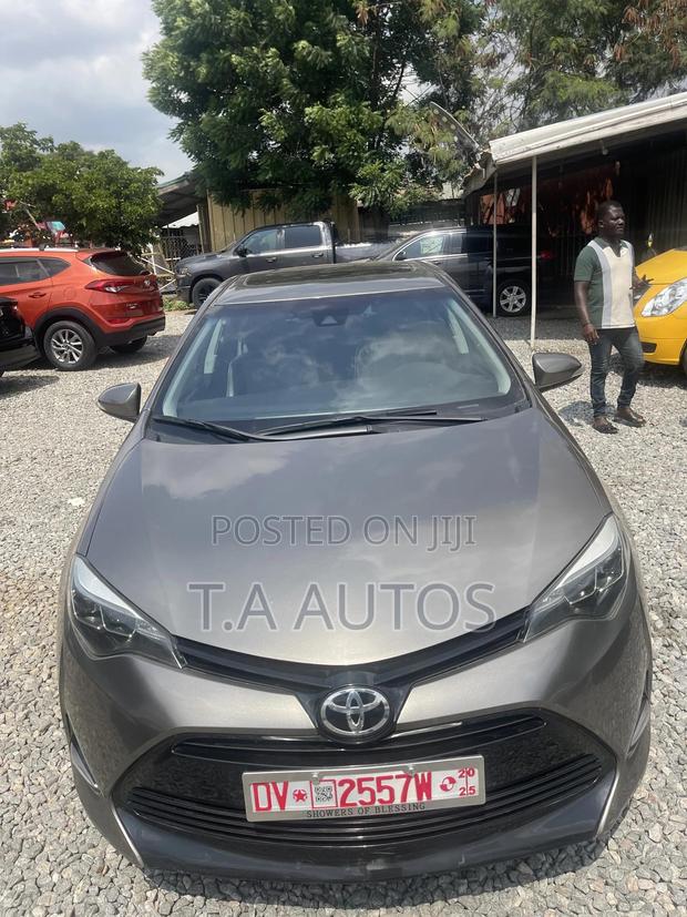 Toyota Corolla XLE 4dr Sedan (1.8L 4cyl CVT) 2017 Gray