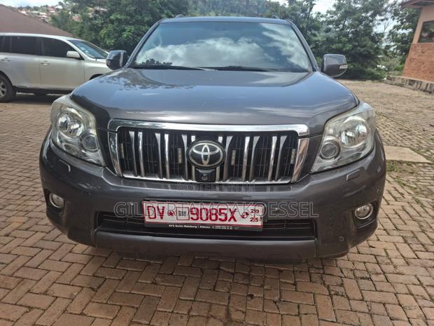 Toyota Land Cruiser Prado 2.8 D-4D 2014 Gray