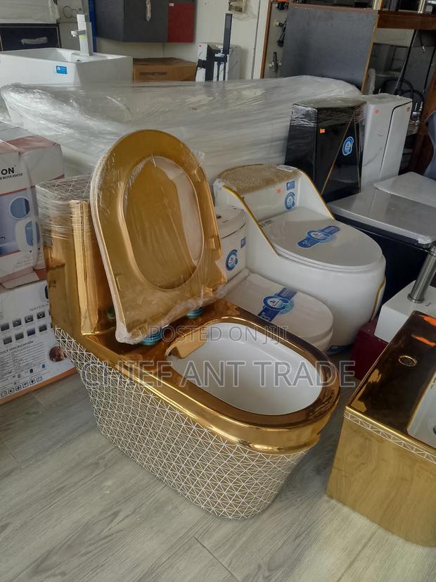 Golden Combined Toilet Seat Wc Water Closet A060s · Photo 2