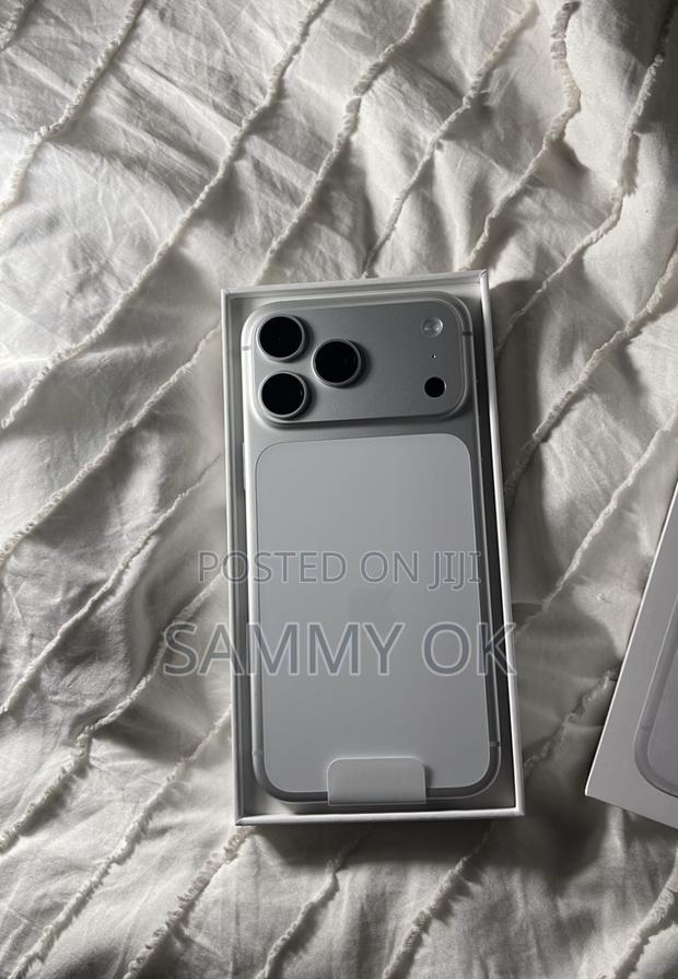 Apple iPhone 17 Pro Max 512 GB Silver photo 3