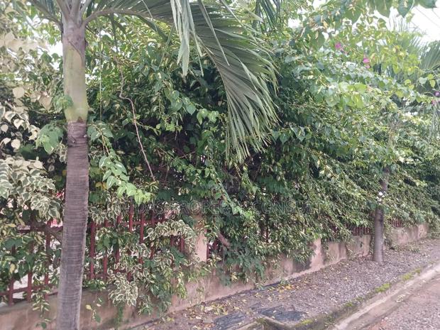 3bdrm House in Kutunse Satellite, Amasaman for sale photo 3