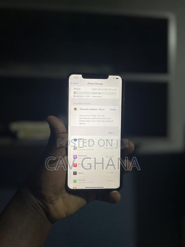 Apple iPhone XS Max 256 GB Gold photo 3