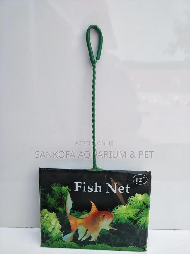 Quality Fish Net · Photo 3