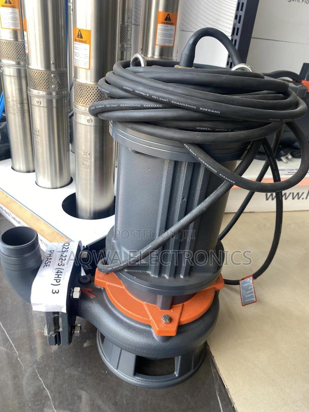 Size 65*50 Leo Sewage 4hp Pump · Photo 2