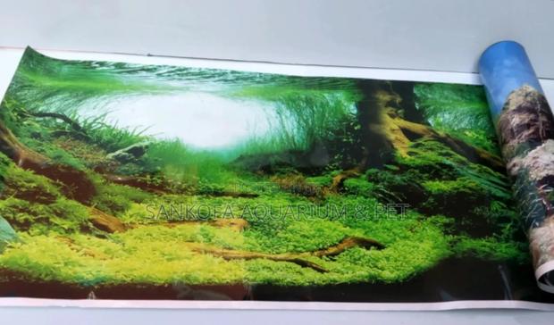 Aquarium Background · Photo 2