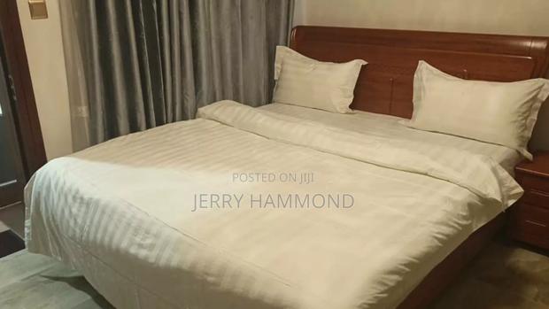 Furnished 2bdrm Apartment in Tseaddo Chain Homes for rent · Photo 4