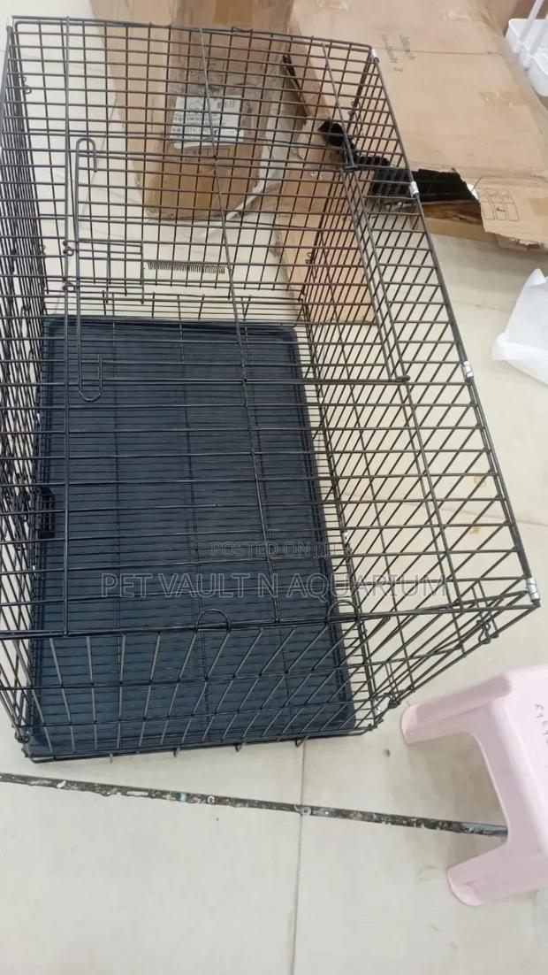 Strong Metallic Cage · Photo 2