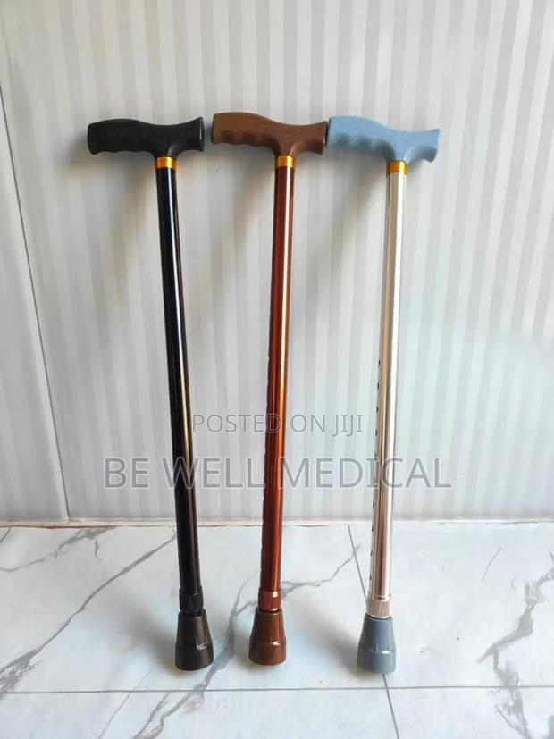 Walking Stick · Photo 2