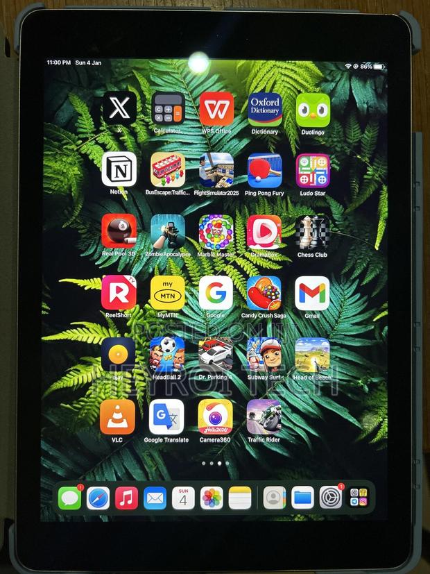 Apple iPad Air 2 64 GB Silver photo 7