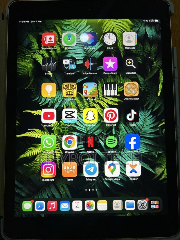 Apple iPad Air 2 64 GB Silver photo 6