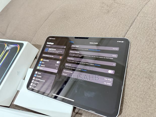 Apple iPad Pro 11 (2024) 256 GB Silver