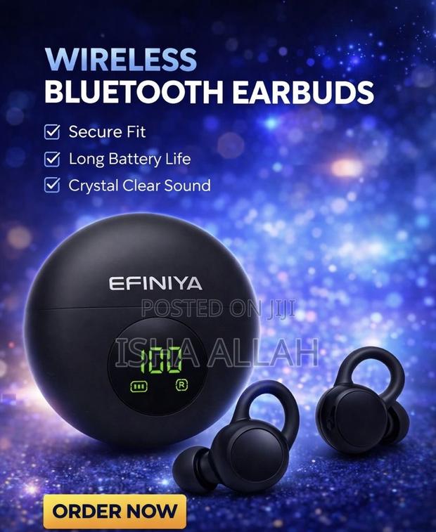 Earhook Buds
