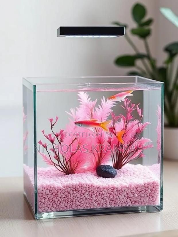 Aquarium Tank · Photo 2