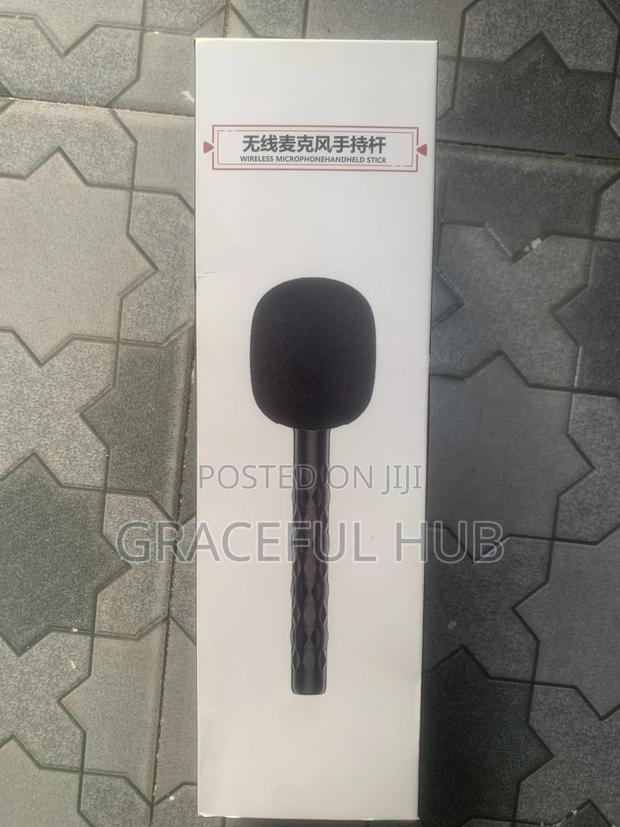 Handheld Mic Stick