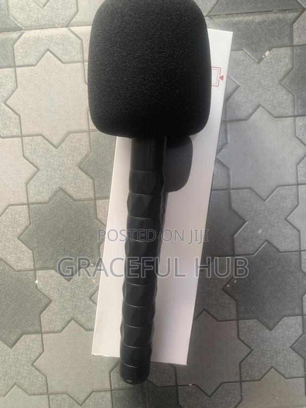 Handheld Mic Stick photo 2