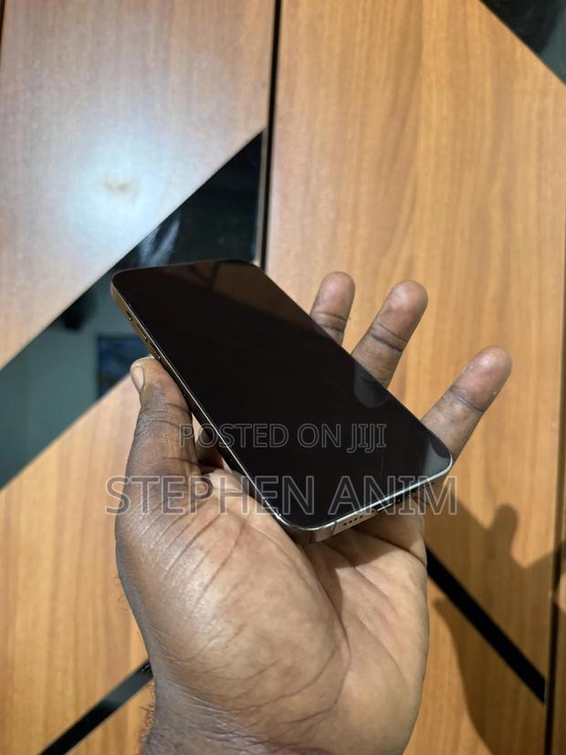 Apple iPhone 13 Pro Max 128 GB Gray photo 2