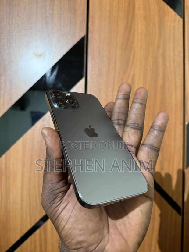Apple iPhone 13 Pro Max 128 GB Gray photo 3
