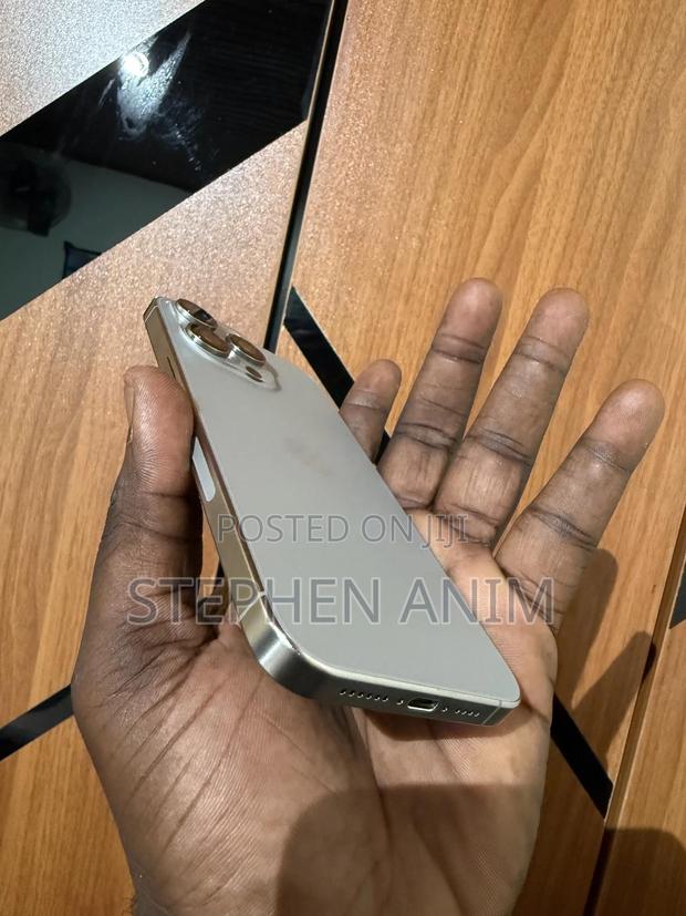 Apple iPhone 15 Pro Max 256 GB Gold photo 2