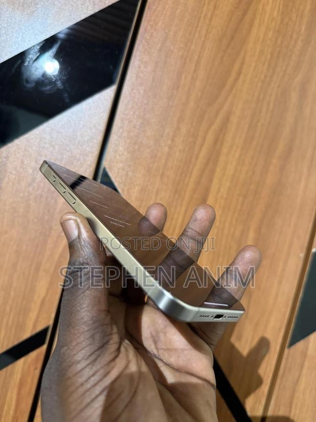 Apple iPhone 15 Pro Max 256 GB Gold photo 4