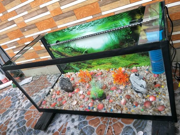 3 Feet Customize Aquarium Package With Accessories · Photo 2