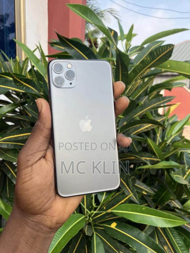Apple iPhone 11 Pro Max 64 GB Gray photo 4