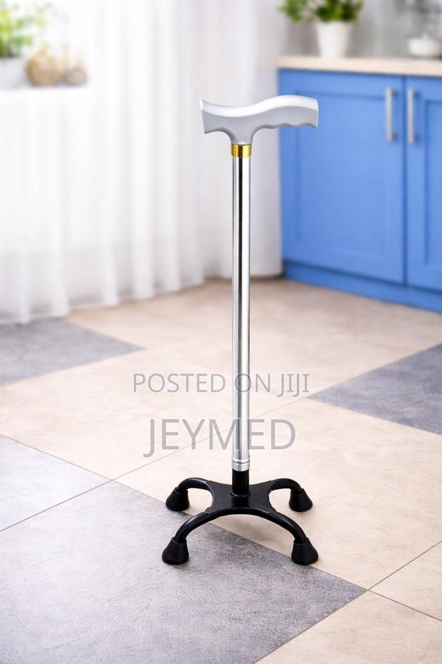 Tetrapod Walking Stick(Quade Cane) · Photo 4