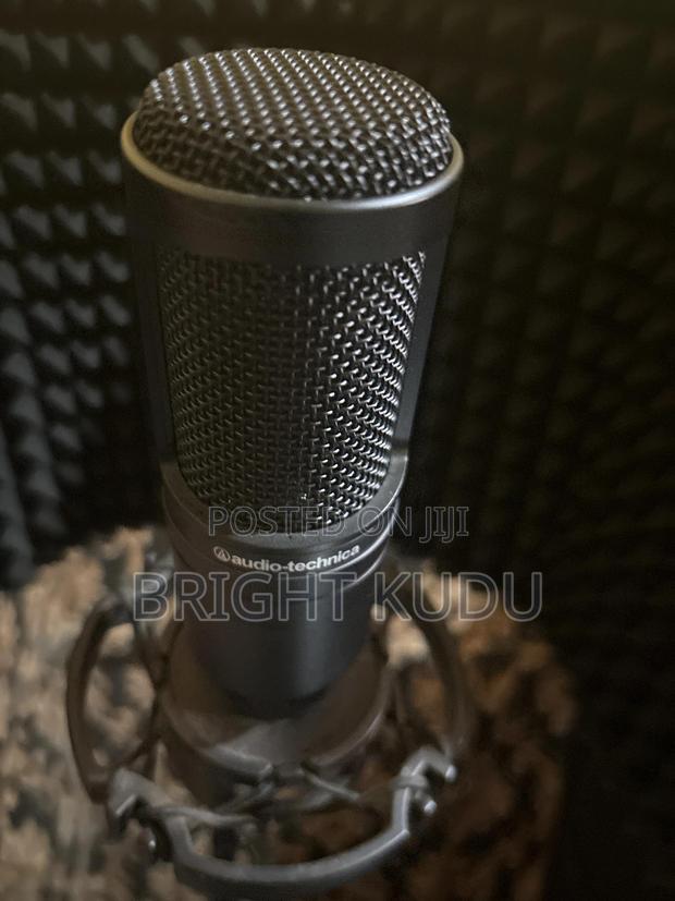 At2020 Microphone