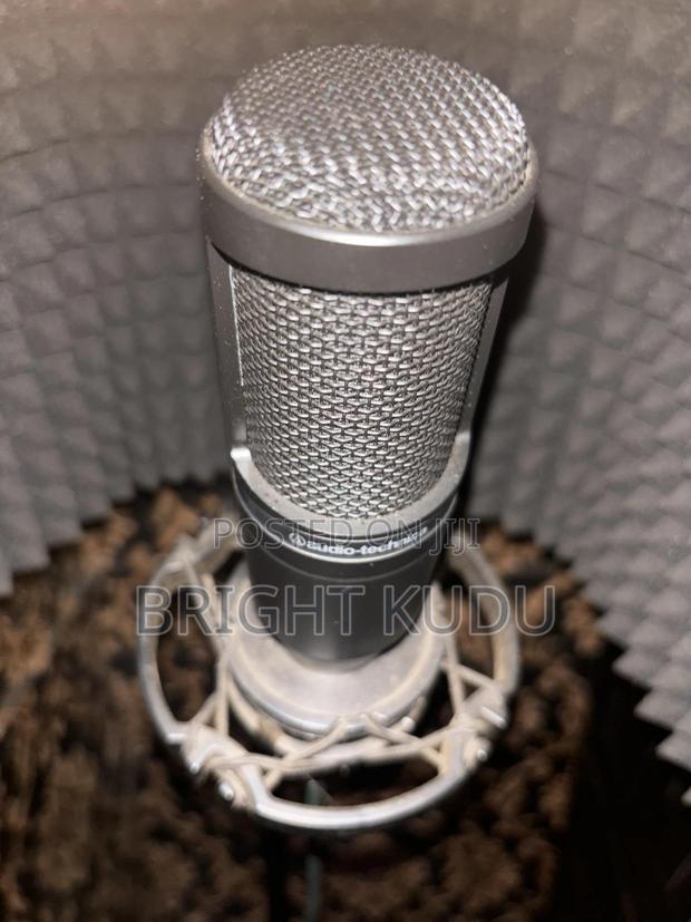 At2020 Microphone photo 2