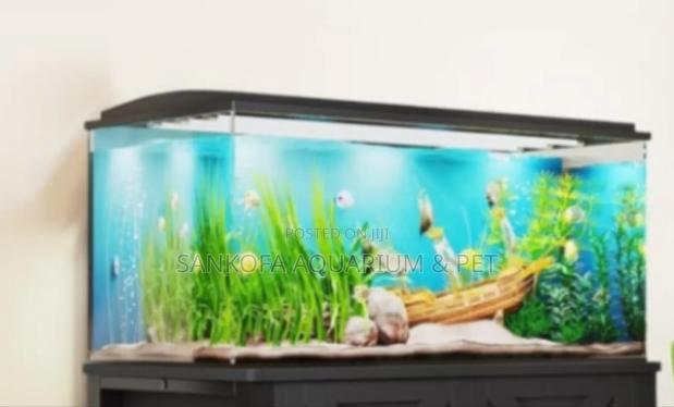 Aquarium Fish Tank With Accessories · Photo 2