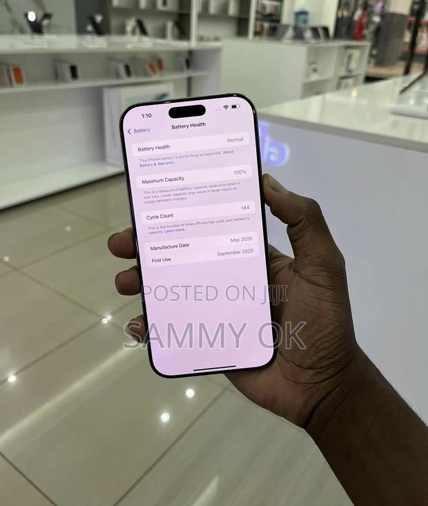 Apple iPhone 15 Pro Max 256 GB Silver