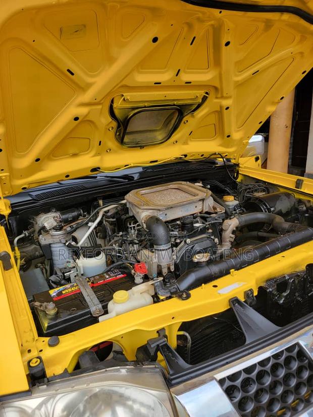 Nissan Hardbody 2019 Yellow