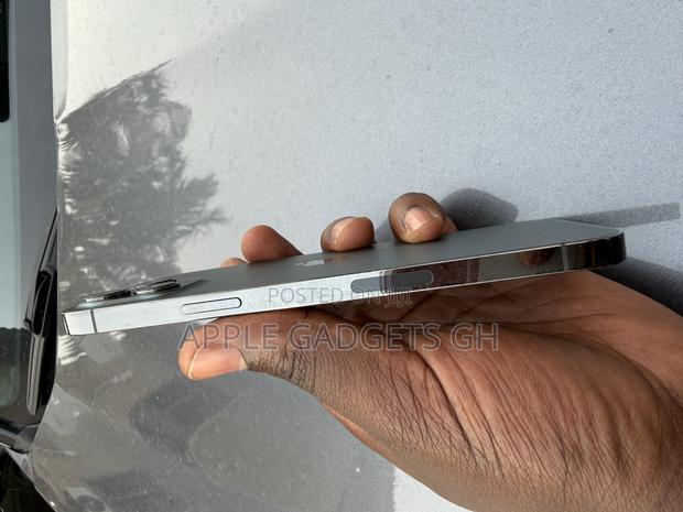 Apple iPhone 12 Pro Max 128 GB Gray