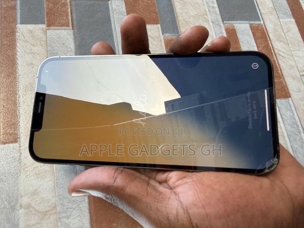 Apple iPhone 12 Pro Max 128 GB Gray