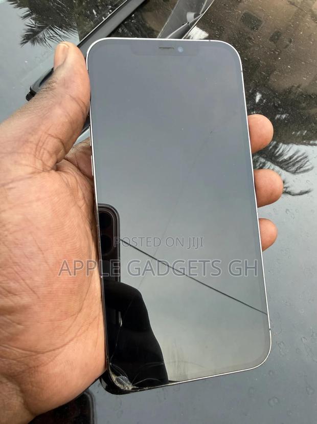 Apple iPhone 12 Pro Max 128 GB Gray