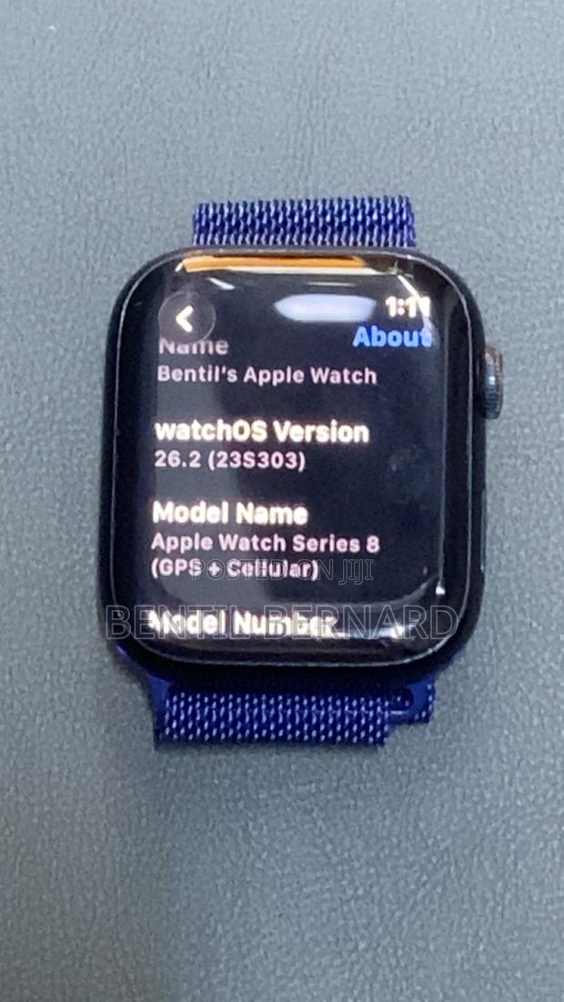Apple Watch Series 8 45mm Stainless photo 2