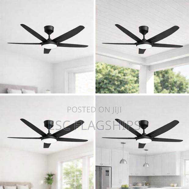 Modern Art Ceiling Fan With Light + Remote Control