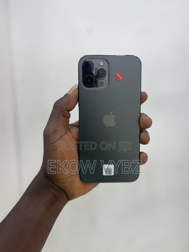 Apple iPhone 12 Pro Max 256 GB Gray photo 2