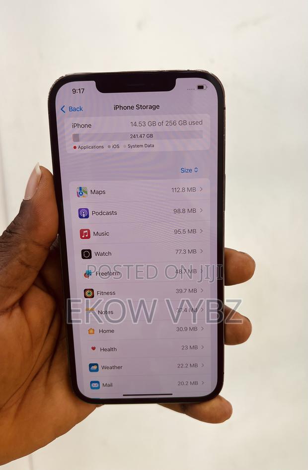 Apple iPhone 12 Pro Max 256 GB Gray