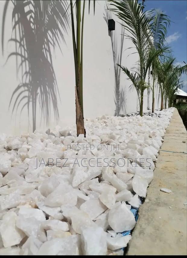 Garden Setup And Landscaping photo 2