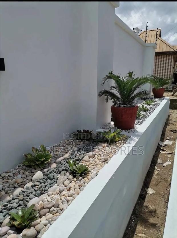 Garden Setup And Landscaping photo 3