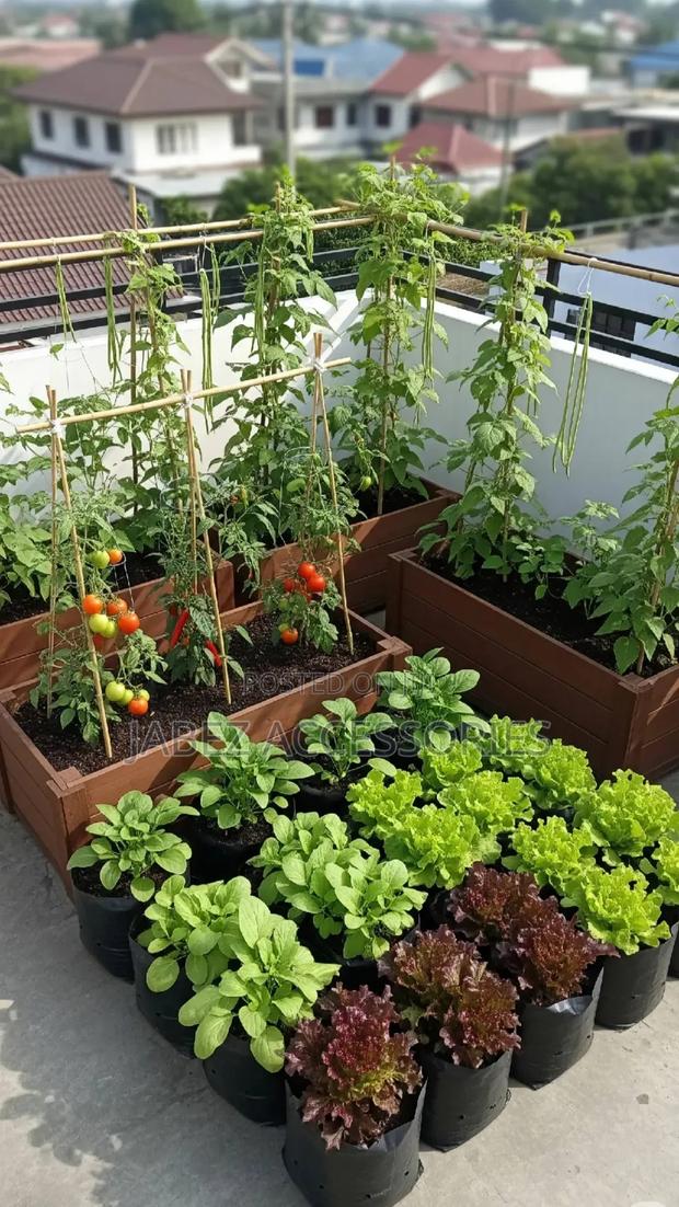 Garden Setup And Landscaping photo 4