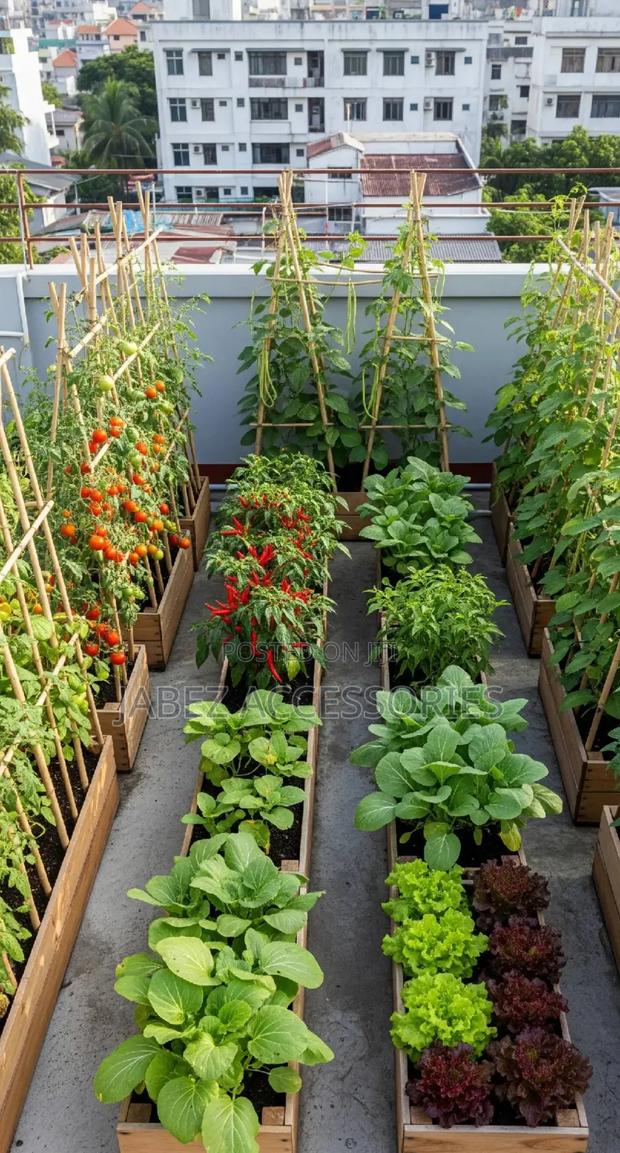 Garden Setup And Landscaping photo 5