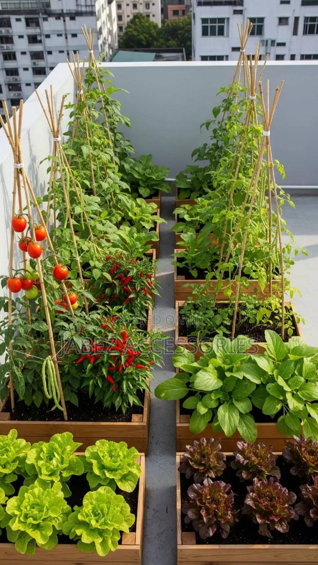 Garden Setup And Landscaping photo 6
