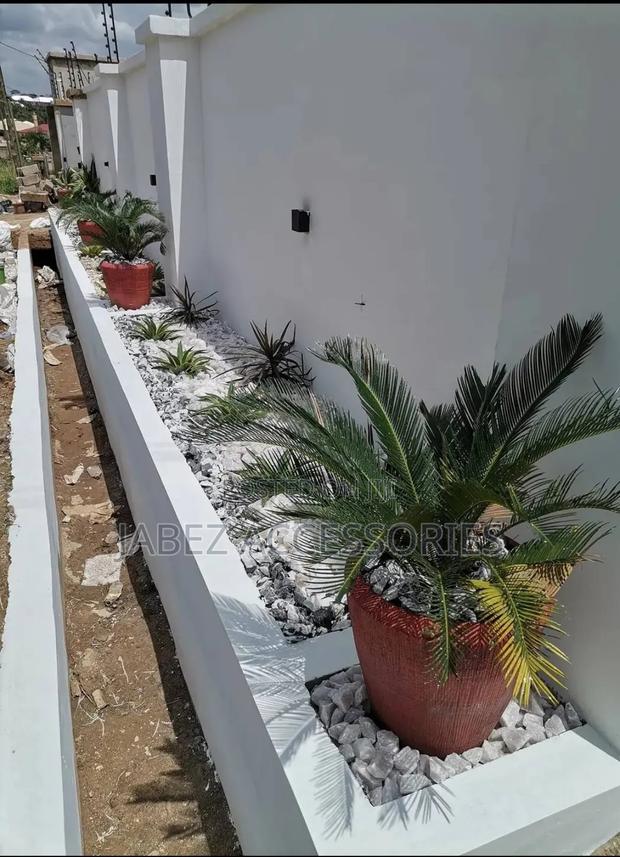 Garden Setup And Landscaping photo 9