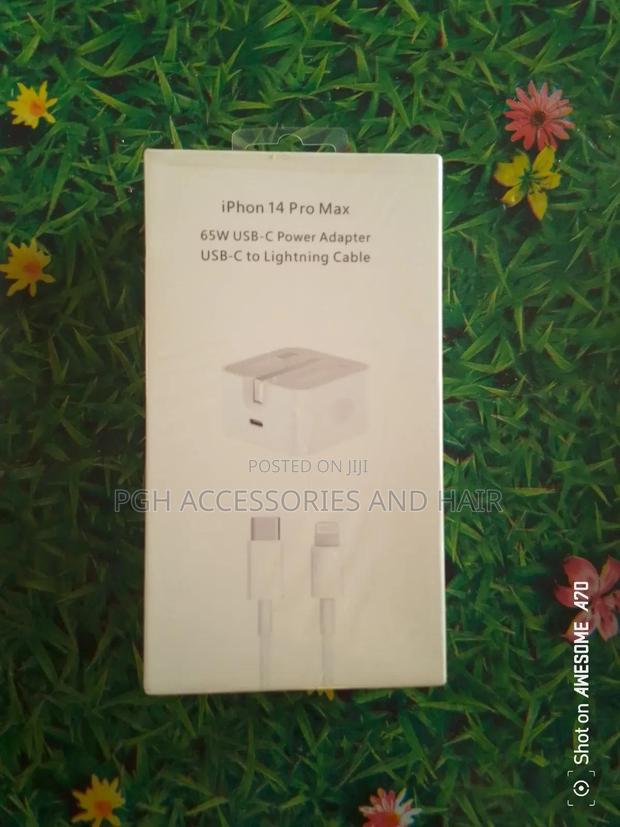 iPhone Charger